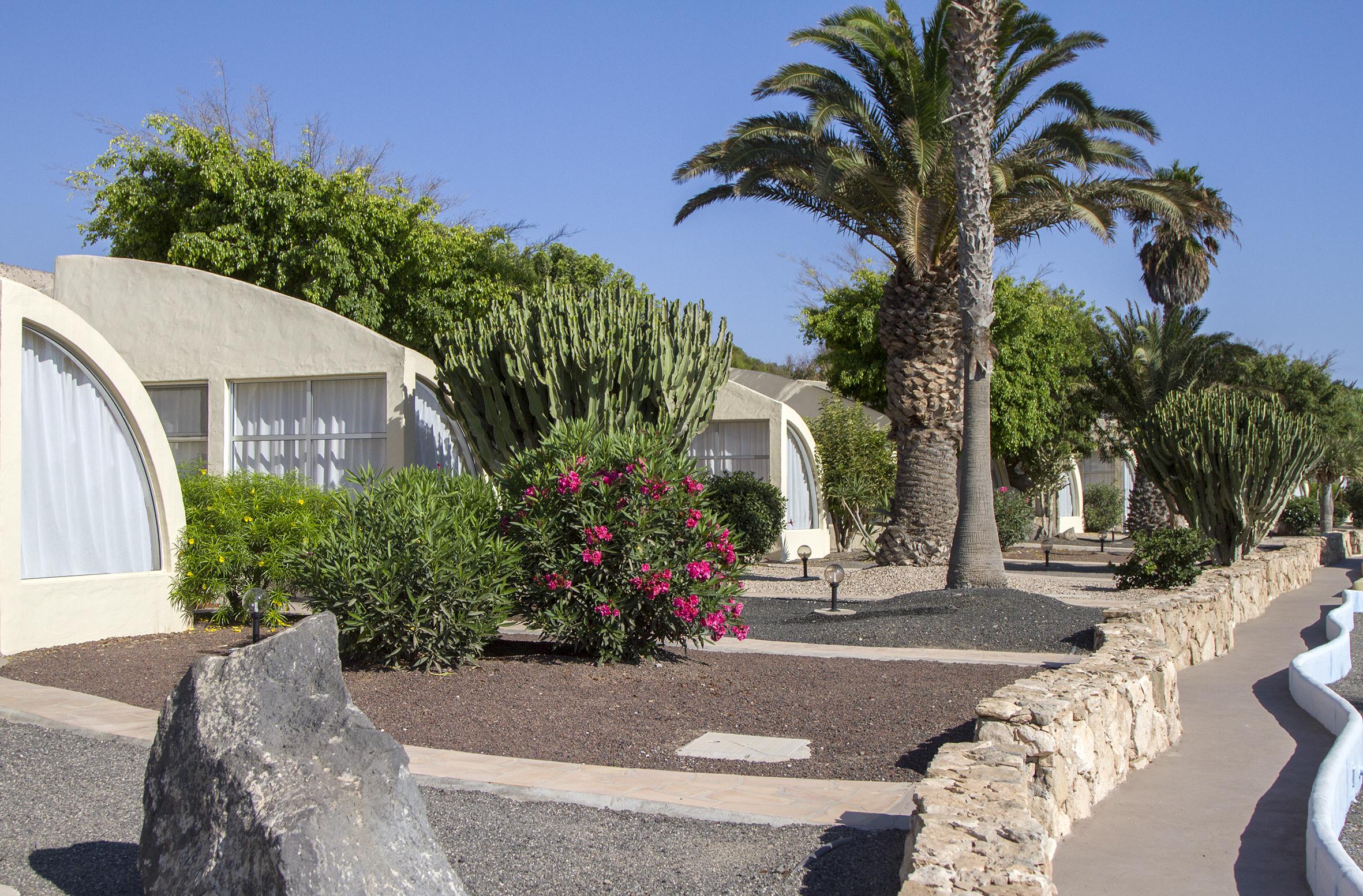 Hotel Livvo Risco Del Gato 4*